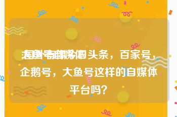 大鱼号自媒体
:国外有像今日头条，百家号，企鹅号，大鱼号这样的自媒体平台吗？