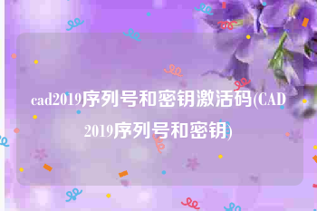 cad2019序列号和密钥激活码(CAD2019序列号和密钥)