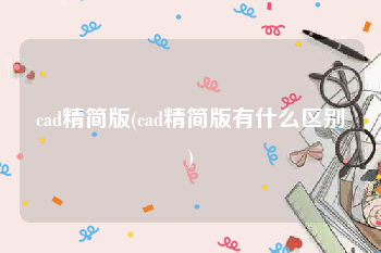 cad精简版(cad精简版有什么区别)