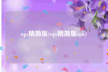 wps精简版(wps精简版apk)