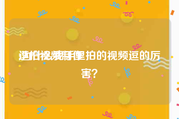 逗拍视频制作
:为什么我手里拍的视频逗的厉害？