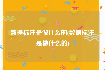 数据标注是做什么的(数据标注是做什么的)