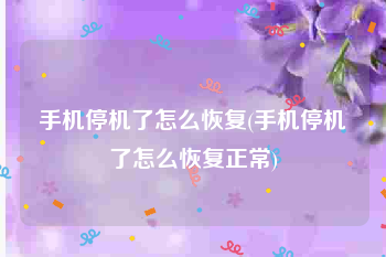 手机停机了怎么恢复(手机停机了怎么恢复正常)