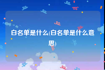 白名单是什么(白名单是什么意思)