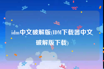 idm中文破解版(IDM下载器中文破解版下载)