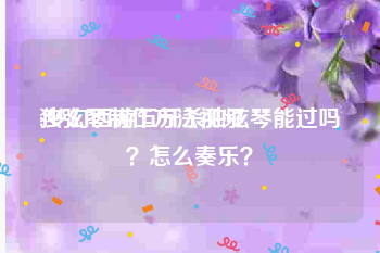 独弦琴制作方法视频
:梦幻西游五开杀独弦琴能过吗？怎么奏乐？