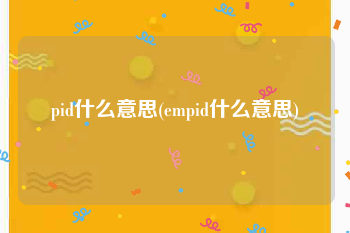 pid什么意思(empid什么意思)