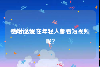 看短视频
:为什么现在年轻人都看短视频呢？