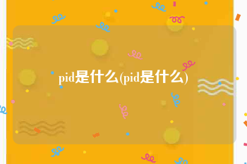 pid是什么(pid是什么)