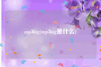 mp3tag(mp3tag是什么)